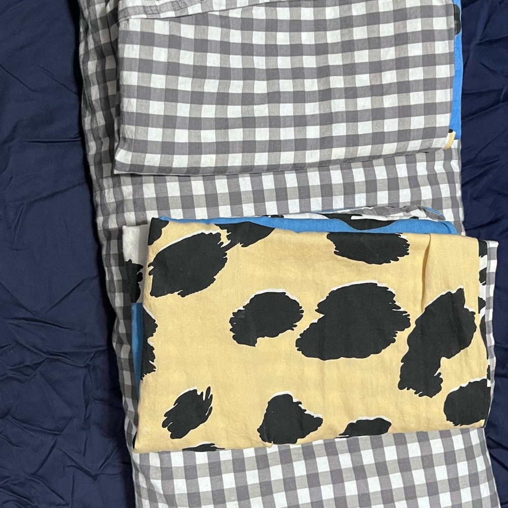 Queen Duvet and Pillow Cases
